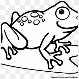 Black And White Frog Clipart 19 Tree Frog Png Transparent - Frog On A Lily Pad Drawing