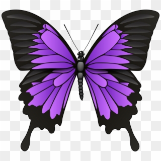 Purple Butterfly Png Clip Art Transparent Png