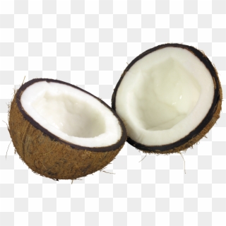 Coconut - Coconut Png Clipart