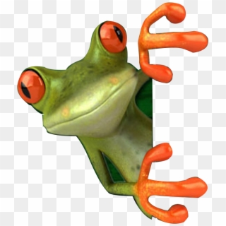 Crazy Frog Png - Red Eyed Tree Frog Png Clipart