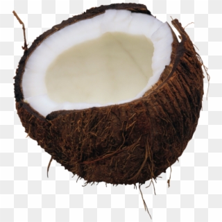 Coconut Png Free Download - Coconut Png Clipart