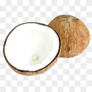 Download Two Half Coconuts Png Image - Half Coconut Png Clipart