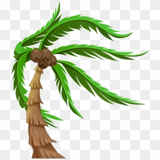 Picture Black And White Library Palm With Coconuts - Coconut Trees Clipart Png Transparent Png