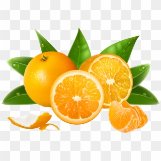 Oranges Png Clipart