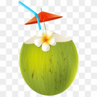 Free Png Download Coconut Coctail Transparent Clipart - Coconut Green Png Cartoon