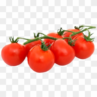 Tomatoes Png Clipart