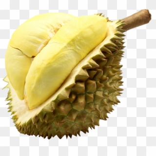 Durian Monthong Fruit Thailand - Durian Thailand Clipart