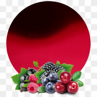 Com/wp Berries Concentrate - Wild Berries Fruit Png Clipart