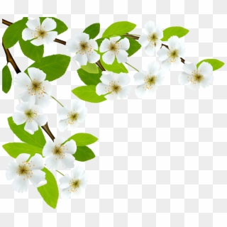 White Spring Flowers Png Clipart