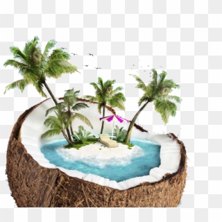 A Beach Inside Of A Coconut - Coconut Beach Png Clipart