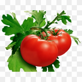Tomato Png Transparent Images - Domates Png Clipart