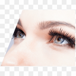 Eyelashes - Eyelash Extensions Clipart