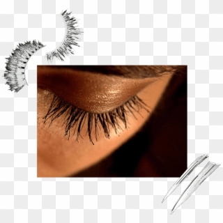 Eye Lashes - Eyelash Extensions Clipart