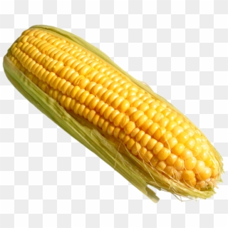 Corn Png Pic - Corn On The Cob Transparent Clipart