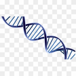 Dna Png Photo - Dna Png Clipart