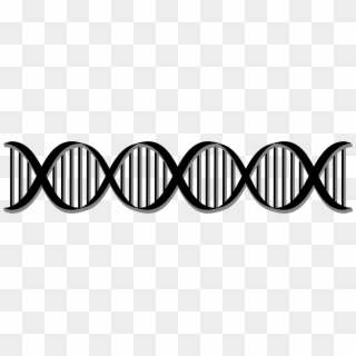 Dna Png - Dna Helix Black And White Clipart