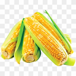 Corn Png Image - Makai Vegetable Clipart