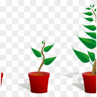 Flower Plant Clipart Plant 2 Growing 4444pxpng, Cute - Getting To Know Plants Transparent Png
