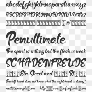 The Fox Tail Font Preview - Calligraphy Clipart