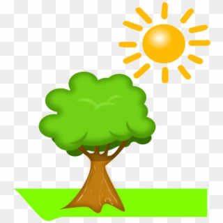 Chemical Reaction Of Photosynthesis Clipart