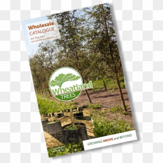 Wheatland Trees Wholesale Catalogue - Flyer Clipart