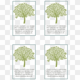 Primary Manual - Pond Pine Clipart