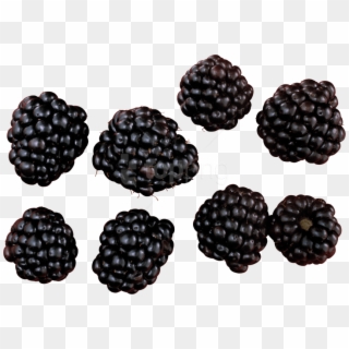 Download Blackberry Png Images Background - Blackberry Png Clipart