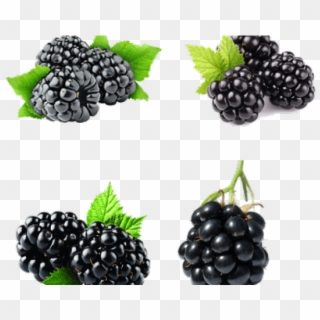 Blackberry Fruit Png Transparent Images - Blackberry Fizz Sticks Arbonne Clipart