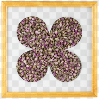 Picture Of Rosebud Tray - Picture Frame Clipart