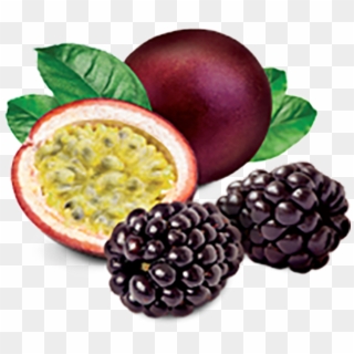 Blackberry Passion Fruit Tart - Blackberry Passionfruit Clipart