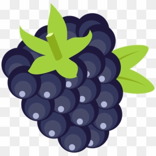Blackberry Clipart Blue Fruit - Seedless Fruit - Png Download