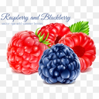 Png Royalty Free Download Juice Blackberry Transprent - Raspberry Clipart