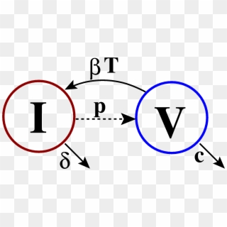 Linear Compartmental Model Of Viral Dynamics Clipart