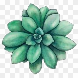 Cactus Png Tumblr - Succulents Drawing Clipart