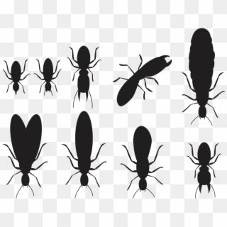 Termite Treatment By Jiminey Kricket Exterminating - Longhorn Beetle Clipart