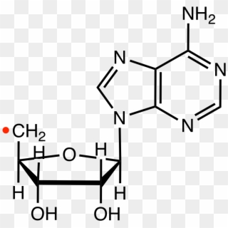 File - Adenosylradrvd - Deoxyadenosine Structure Clipart