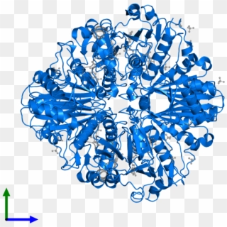 <div Class='caption-body'>pdb Entry 3rvd Contains 4 - Graphic Design Clipart