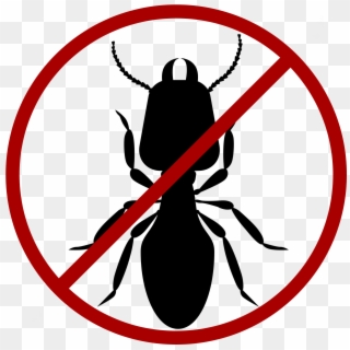 Termite Icon - Black No Symbol Transparent Clipart