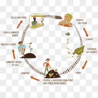 How Compost Works Graphic - Compost Cycle Clipart
