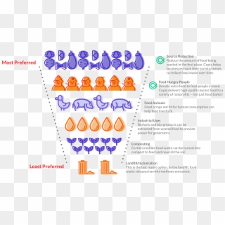 Copia August Landing Page Hierarchy-11 Clipart