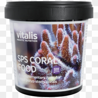 Sps Coral Food Pa - Stony Coral Clipart