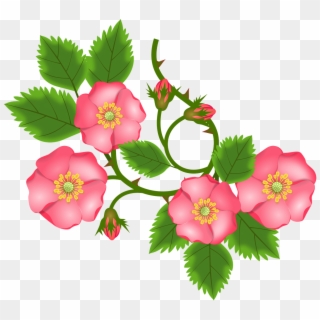 Rose Tendril Bush Rose Entwine - Sulur Bunga Png Clipart