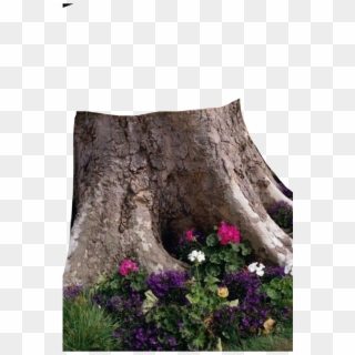 #tree #arvore #tronco - Cover Up A Tree Stump Clipart