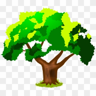 Planta, Árvore, Verde, Tronco, Folhas, Primavera, Verão - Harwood Park Primary School Clipart