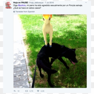Public Administrators, Social Media And The Legitimacy - Policias Nacionales Con Perros Clipart