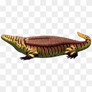 Crocodilian Like Armor Is Known To Have Evolved Naturally - Amphibians Clipart