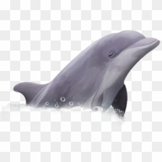 #golfinho #peixe - Common Bottlenose Dolphin Clipart