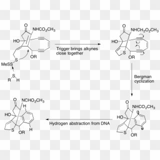 Calicheamicin Cleavage Of Dna - Calicheamicin Mechanism Of Action Clipart