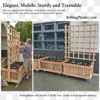 Trellises For Rolling Planters Strong Designed And - Rolling Planters Clipart