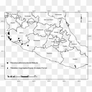 Distribution Map Of Tillandsia Magnispica Espejo & - Region Centro De Mexico Clipart